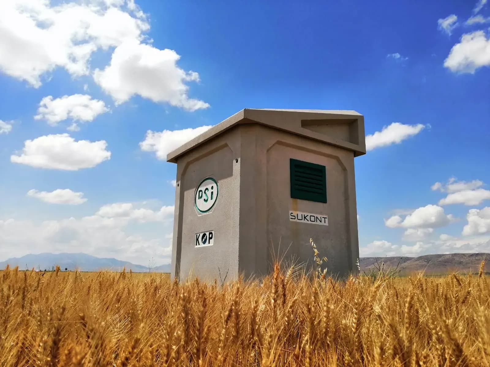 Buğday tarlasında yeraltı suyu ölçüm kabini